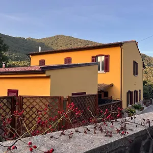 La Fucinaia Pet Friendly Campiglia Marittima